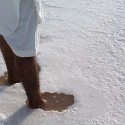 collecting salt