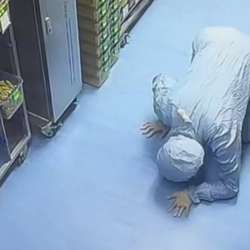 أثناء البحث عن الفار