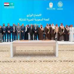 اللجنة المشتركة 