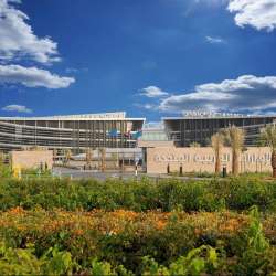 United Arab Emirates University