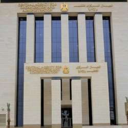 التنظيم والإدارة