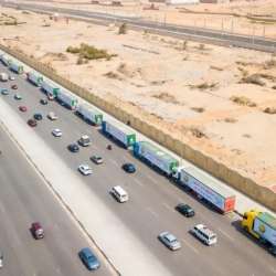 مساعدات مصرية