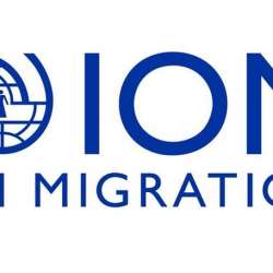 UN migration