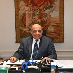 وزير الكهرباء المصري