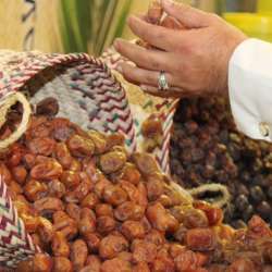 تمور سيوة أشهر التمور عالميا