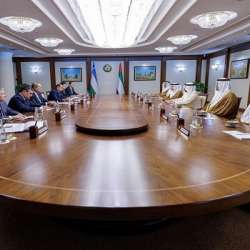 لقاء ولي عهد دبي ورئيس وزراء أوزباكستان