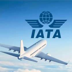 International Air Transport Association (IATA)