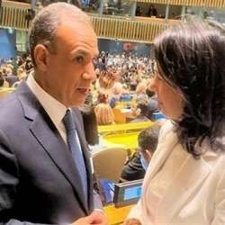 وزيرا خارجية مصر وألمانيا