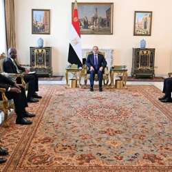 لقاء السيسي ووزير جنوب أفريقيا