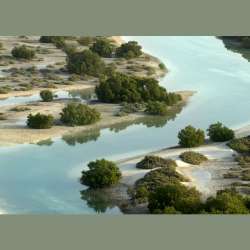 The Environment Agency – Abu Dhabi