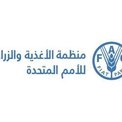 The Food and Agriculture Organisation