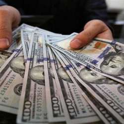 سعر الدولار الأمريكي