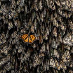 Xposure International Photography Festival