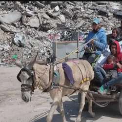 غزة