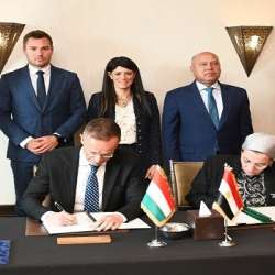 اللجنة المشتركة المصرية المجرية