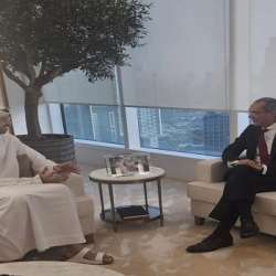 لقاء الوزيران المصري والإماراتي