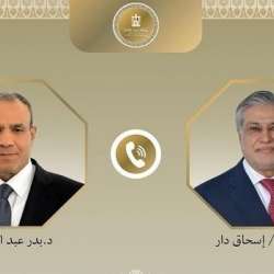 وزيرا الخارجية الباكستاني والمصري