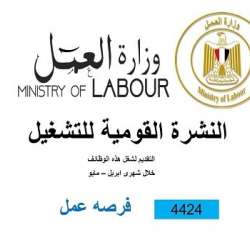 وظائف مصر