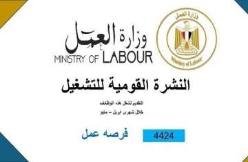 وظائف مصر