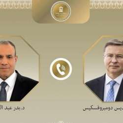 المسؤول الأوروبي ووزير خارجية مصر