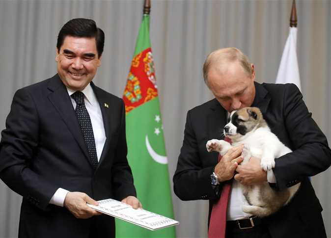 أهدي الرئيس التركمانستاني، قربان قولي بردي محمدوف، نظيره الروسي فلاديمير بوتين، جرو كلب من نوع خاص
