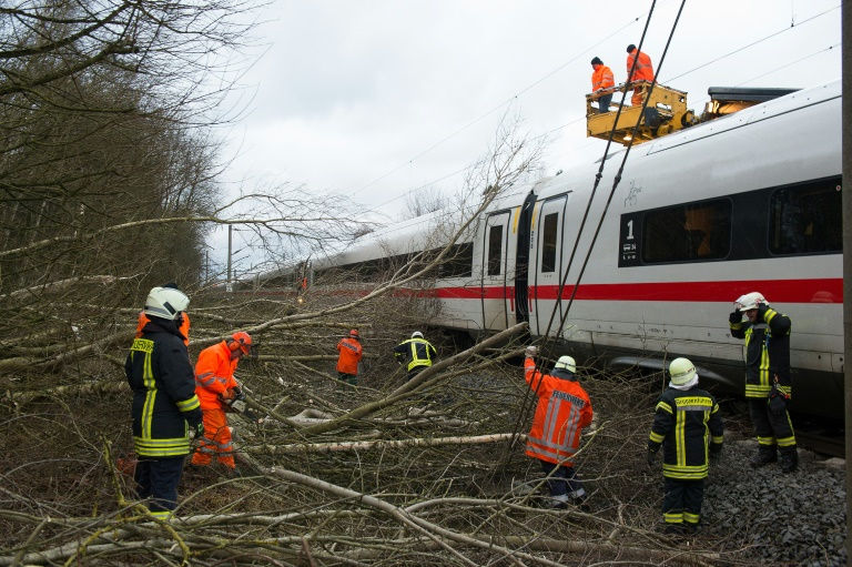 رجال اطفاء يزيلون الاشجار المقتلعة بسبب العاصفة عن خط القطارات قرب لامبرينج في شمال المانيا