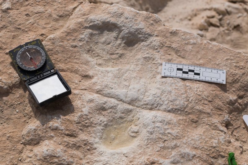 السعودية: اكتشاف أقدام إنسان في صحراء النفود تعود لأكثر من 85 ألف عام
