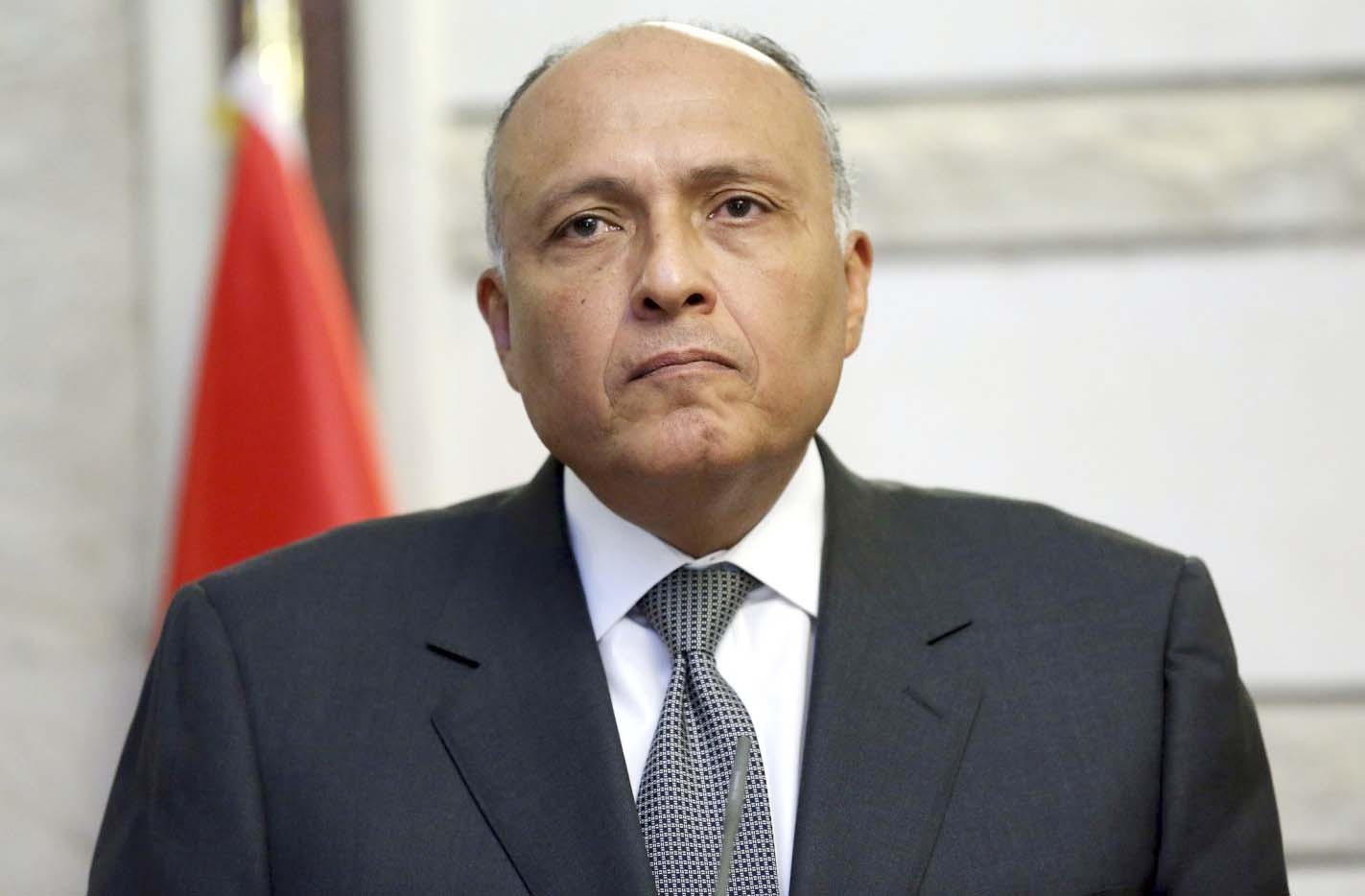 سامح شكري، وزير الخارجية المصري
