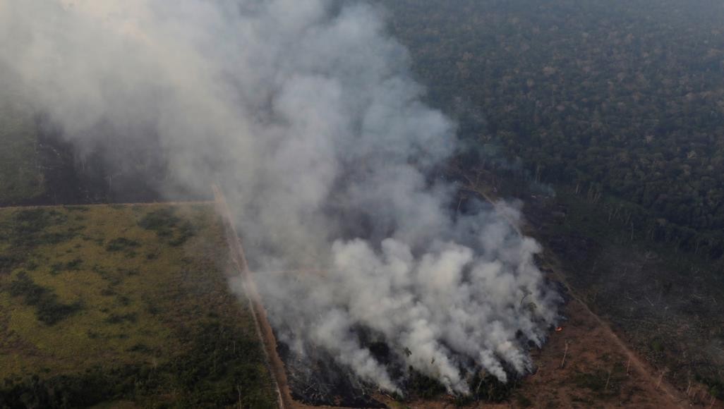 2500 حريق يصيب رئة الأرض غابات الأمازون خلال يومين