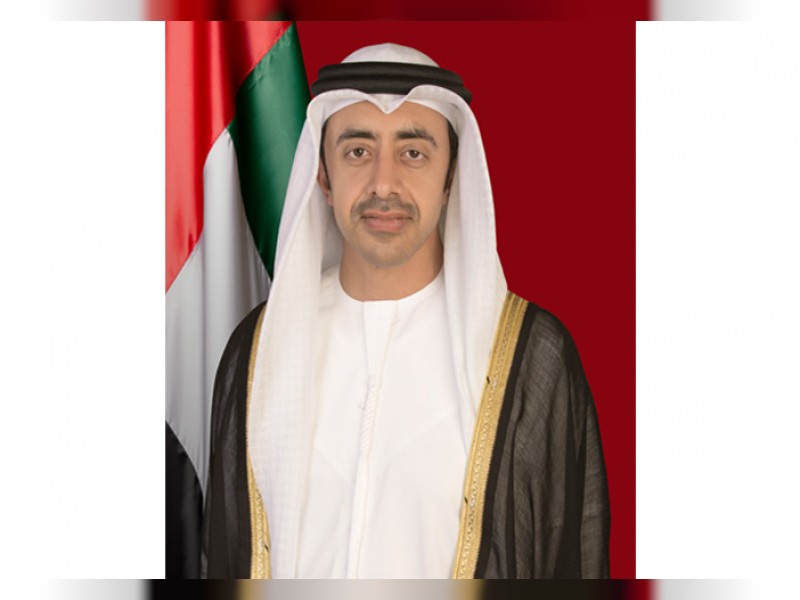 وزير الخارجية الإماراتي 