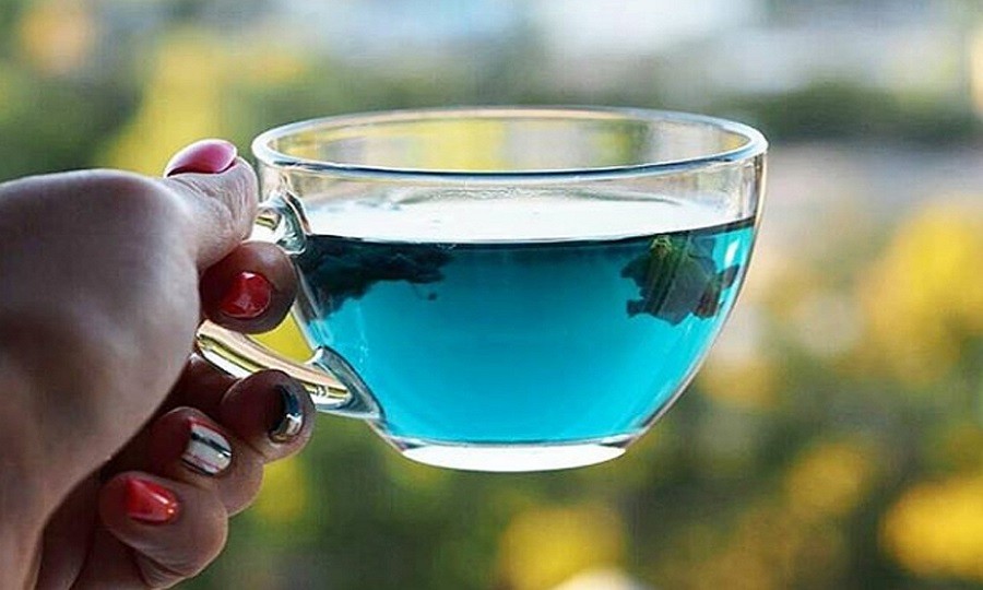 الازرق الشاي الشاي الأزرق