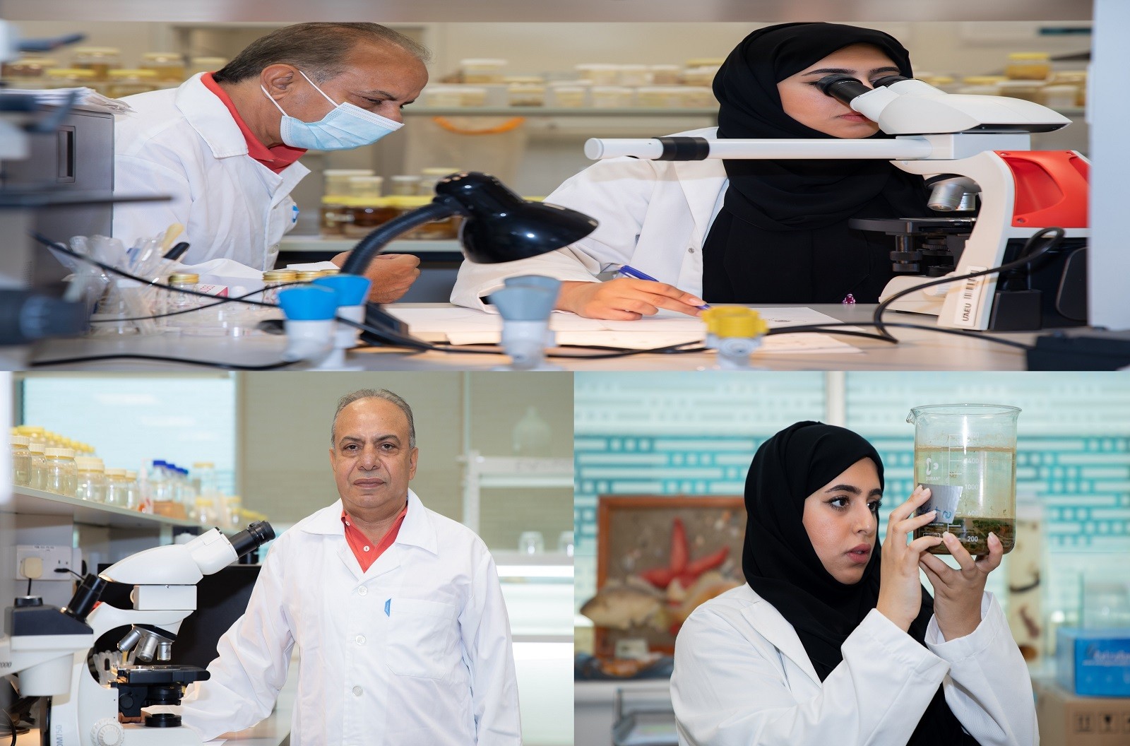 UAE University Discovery of a new freshwater crustacean in the UAE