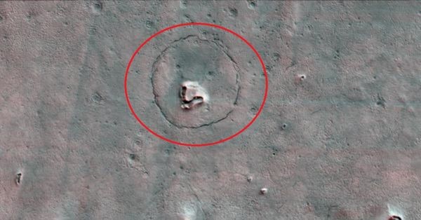 صورة دب على المريخ