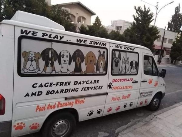 حافلة الكلاب
