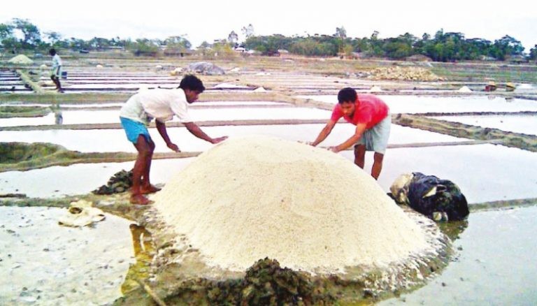 Salt Farmers in Bangladesh