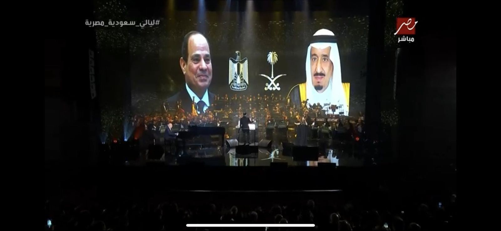 حفل ليالي السعودية المصرية