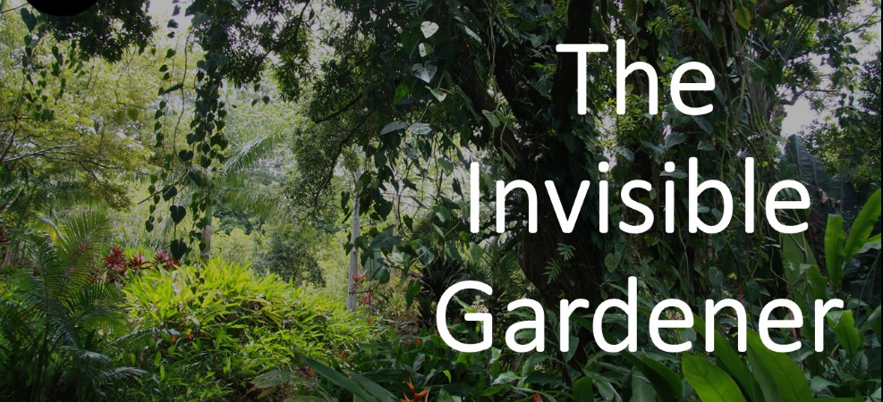 The Invisible Gardner