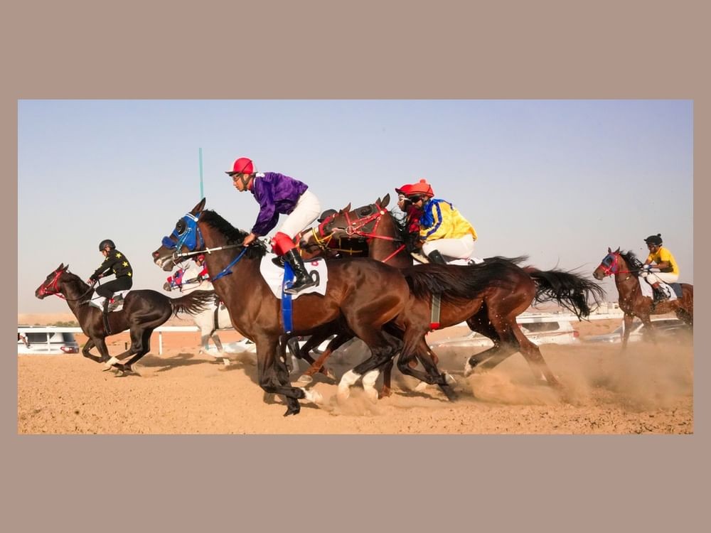 Fifth Purebred Arabian Horse Race