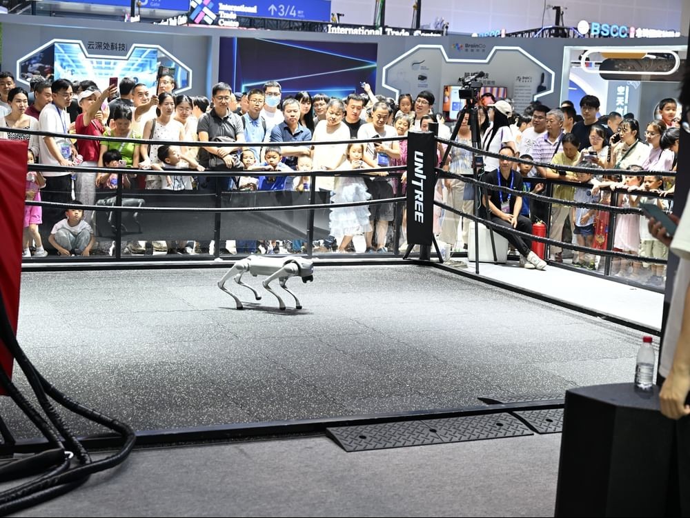 China's Global Digital Trade Expo