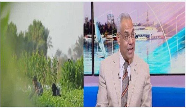 الموجة الحارة الحالية تهدد المحاصيل