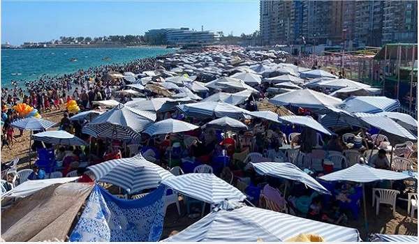 شواطئ الإسكندرية