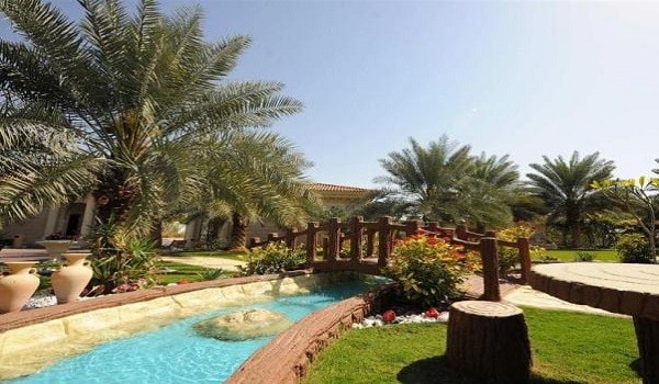 حديقة