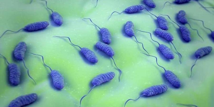 العلماء يكتشفون موطن وباء الكوليرا