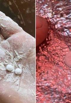 مخدرات في مساعدات غزة