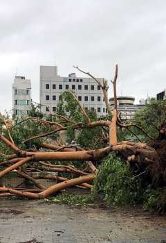 Typhoon Danas