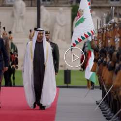 استقبال الرئيس الإماراتي في المجر
