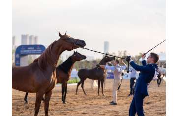  Emirates Arabian Horse Global Cup China 2025