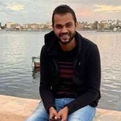 المهندس مصطفى أنور أحمد عفيفي