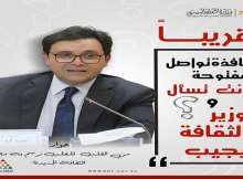 وزير الثقافة المصري
