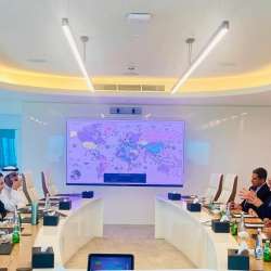لقاء الوفدين المصري والإماراتي